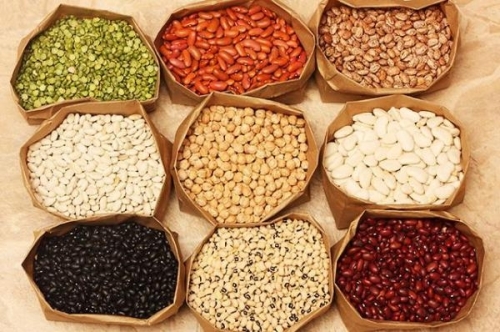 Bí mật của những hạt đậu
