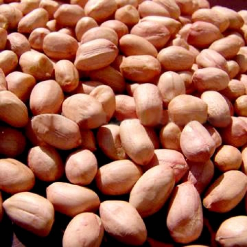 Đậu phộng hỗ trợ điều trị mụn