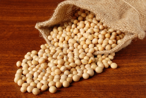 9 loại thực phẩm giàu Tyrosine
