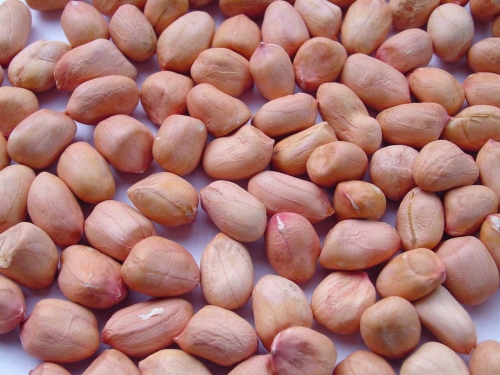 5 lợi ích tuyệt vời của đậu phộng