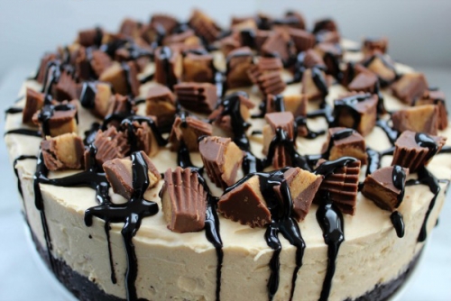 Học làm bánh Cheesecake bơ đậu phộng ngon không cần lò nướng