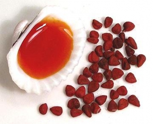 Cách làm dầu hạt điều nhanh mà không bị cháy
