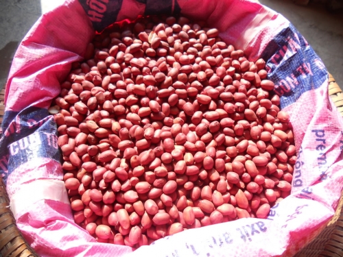 Cách giữ cho những hạt lạc thơm ngon lâu hơn