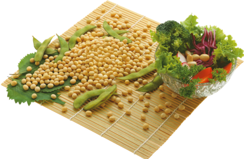 Đậu phụ cho bé ăn dặm phát triển khỏe mạnh