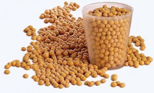 5 điều bạn phải biết khi uống sữa đậu nành