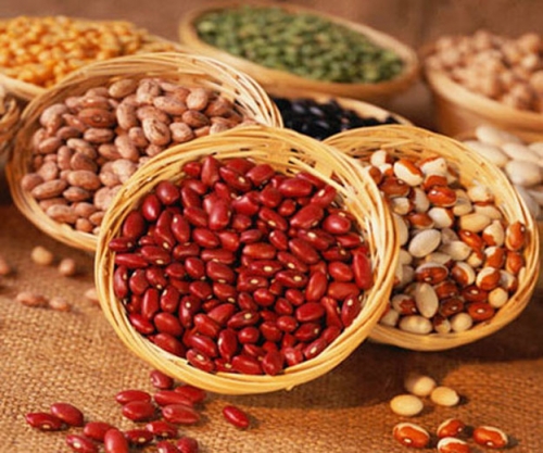Những lợi ích không thể ngờ của hạt đậu