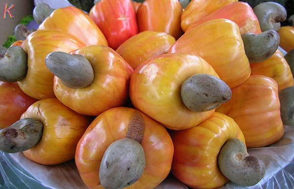 Những thành phần dinh dưỡng trong hạt điều