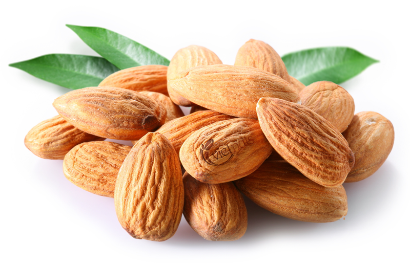 hat hanh nhan Vietnuts hat hanh nhan Vietnuts